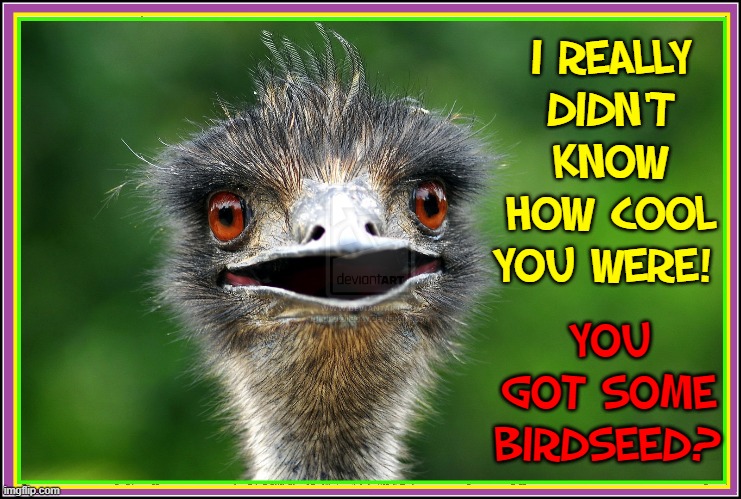 I REALLY
DIDN'T KNOW HOW COOL YOU WERE! YOU GOT SOME BIRDSEED? | made w/ Imgflip meme maker