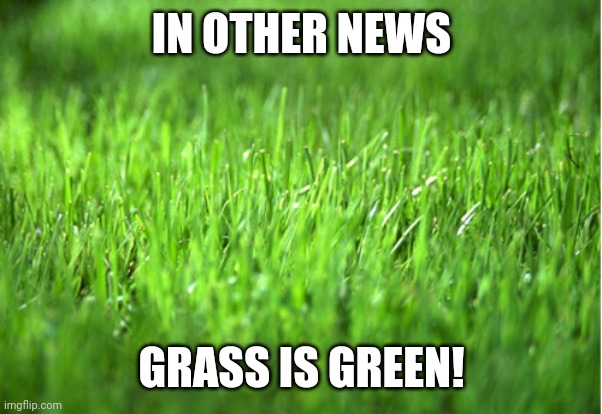 grass is greener | IN OTHER NEWS GRASS IS GREEN! | image tagged in grass is greener | made w/ Imgflip meme maker