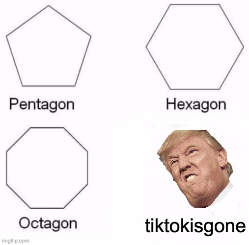 Pentagon Hexagon Octagon Meme | tiktokisgone | image tagged in memes,pentagon hexagon octagon | made w/ Imgflip meme maker