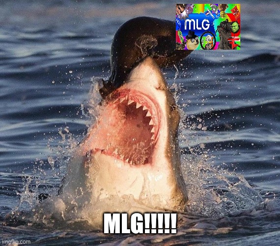 Seal on shark | MLG!!!!! | image tagged in seal on shark | made w/ Imgflip meme maker