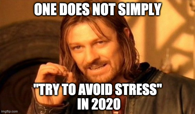 One Does Not Simply Meme | ONE DOES NOT SIMPLY; "TRY TO AVOID STRESS"
 IN 2020 | image tagged in memes,one does not simply | made w/ Imgflip meme maker