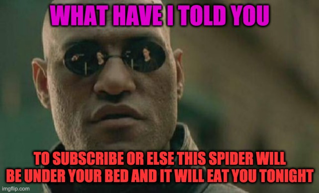 Matrix Morpheus Meme | WHAT HAVE I TOLD YOU; TO SUBSCRIBE OR ELSE THIS SPIDER WILL BE UNDER YOUR BED AND IT WILL EAT YOU TONIGHT | image tagged in memes,matrix morpheus | made w/ Imgflip meme maker