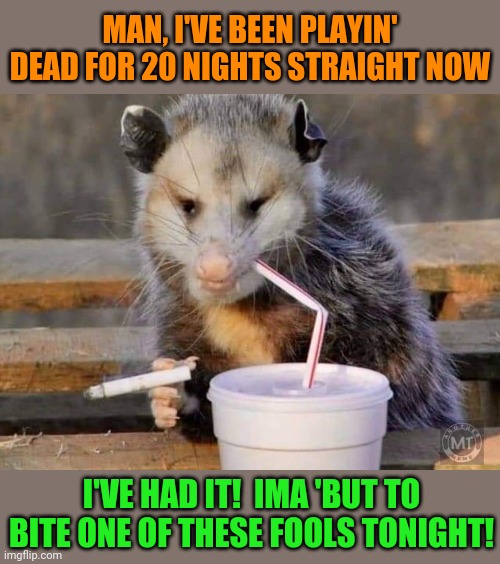 He ain't playin... | MAN, I'VE BEEN PLAYIN' DEAD FOR 20 NIGHTS STRAIGHT NOW; I'VE HAD IT!  IMA 'BUT TO BITE ONE OF THESE FOOLS TONIGHT! | image tagged in playing,possum,no more,funny animals,funny memes | made w/ Imgflip meme maker