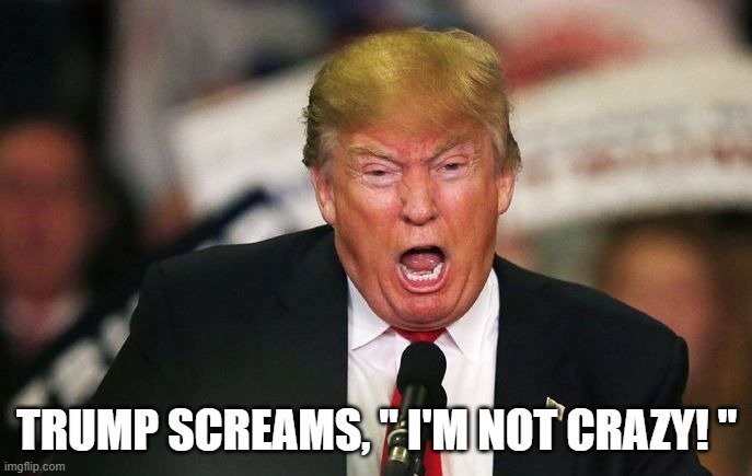 The problem is obvious - Person Woman Man Camera TV  - did not test for sanity. | TRUMP SCREAMS, " I'M NOT CRAZY! " | image tagged in trump is crazy,out of control,pathological liar,psychopath,trump unfit unqualified dangerous,dump trump | made w/ Imgflip meme maker