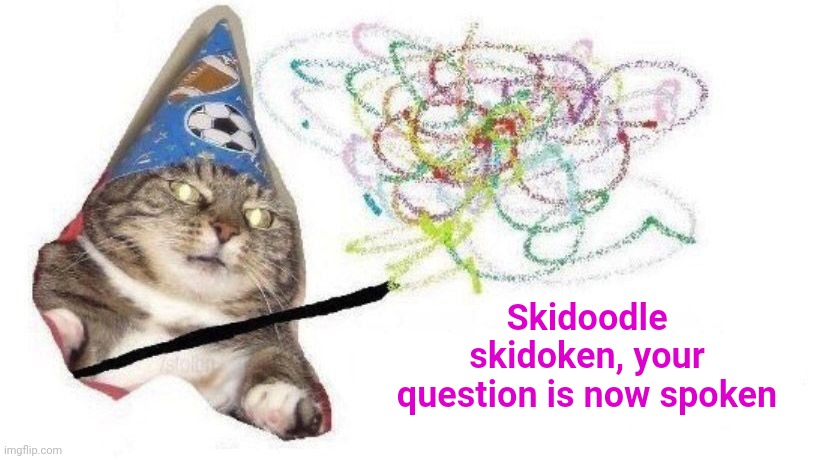 Wizard Cat | Skidoodle skidoken, your question is now spoken | image tagged in wizard cat | made w/ Imgflip meme maker