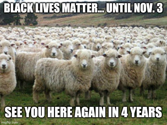 Short term memory | BLACK LIVES MATTER... UNTIL NOV. 3; SEE YOU HERE AGAIN IN 4 YEARS | image tagged in democrats are sheep | made w/ Imgflip meme maker