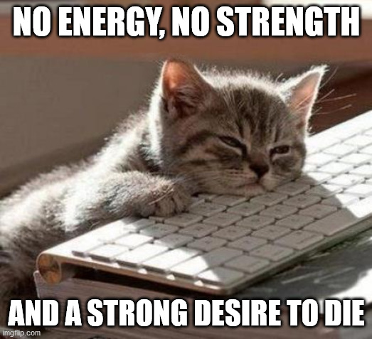 tired cat | NO ENERGY, NO STRENGTH AND A STRONG DESIRE TO DIE | image tagged in tired cat | made w/ Imgflip meme maker