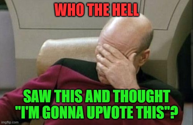 Captain Picard Facepalm Meme | WHO THE HELL SAW THIS AND THOUGHT "I'M GONNA UPVOTE THIS"? | image tagged in memes,captain picard facepalm | made w/ Imgflip meme maker