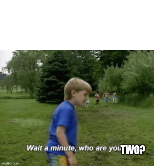 Wait a minute, who are you? | TWO? | image tagged in wait a minute who are you | made w/ Imgflip meme maker