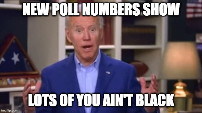 Joe Biden You Ain't Black | NEW POLL NUMBERS SHOW LOTS OF YOU AIN'T BLACK | image tagged in joe biden you ain't black | made w/ Imgflip meme maker