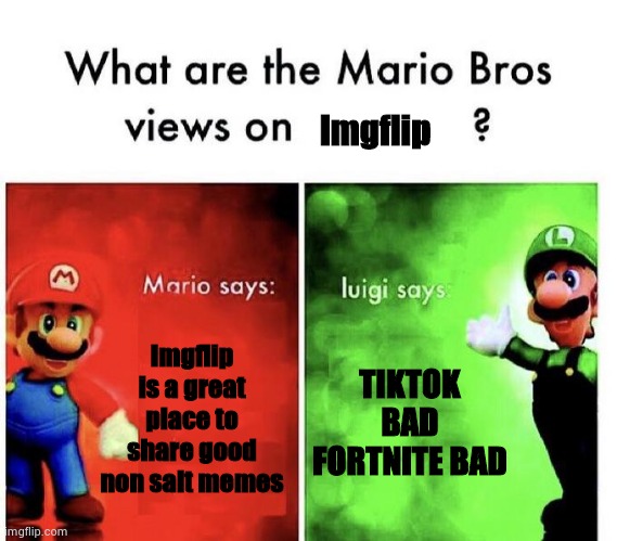Mario Bros Views | Imgflip; Imgflip is a great place to share good non salt memes; TIKTOK BAD FORTNITE BAD | image tagged in mario bros views | made w/ Imgflip meme maker