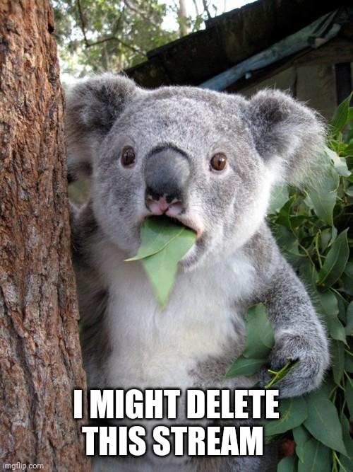 Surprised Koala | I MIGHT DELETE THIS STREAM | image tagged in memes,surprised koala | made w/ Imgflip meme maker