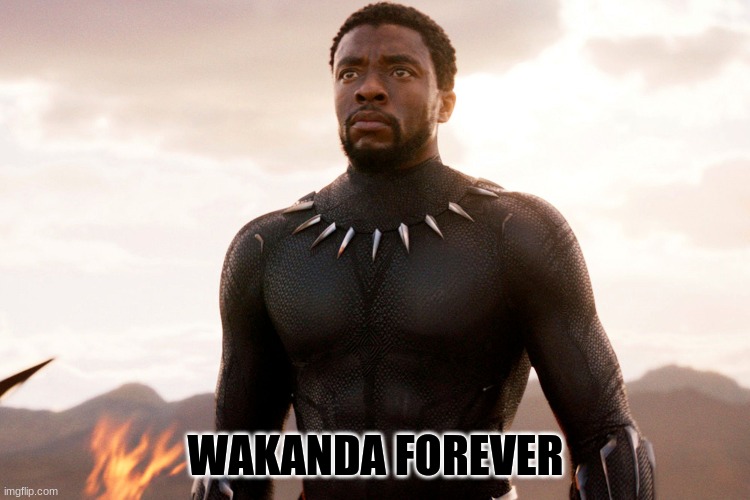 RIP Chadwick Boseman | WAKANDA FOREVER | image tagged in wakanda forever | made w/ Imgflip meme maker
