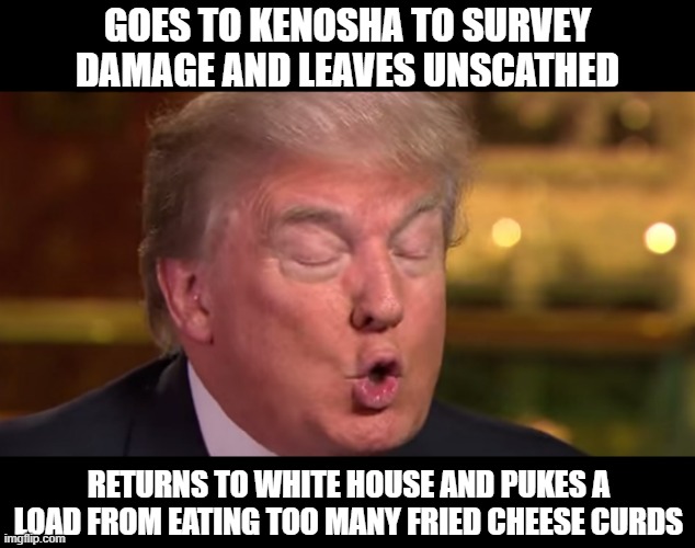 Tour de Wisconsin | GOES TO KENOSHA TO SURVEY DAMAGE AND LEAVES UNSCATHED; RETURNS TO WHITE HOUSE AND PUKES A LOAD FROM EATING TOO MANY FRIED CHEESE CURDS | image tagged in trump wrong meme | made w/ Imgflip meme maker