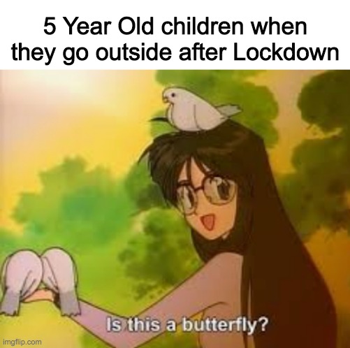 butterfly Memes & GIFs - Imgflip