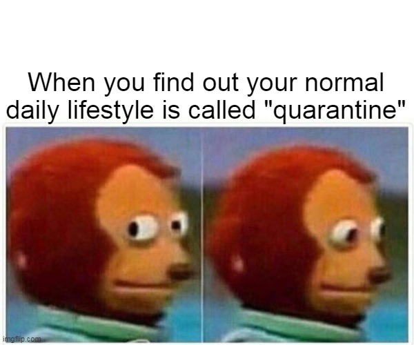 Monkey Puppet Meme | When you find out your normal daily lifestyle is called "quarantine" | image tagged in memes,monkey puppet | made w/ Imgflip meme maker