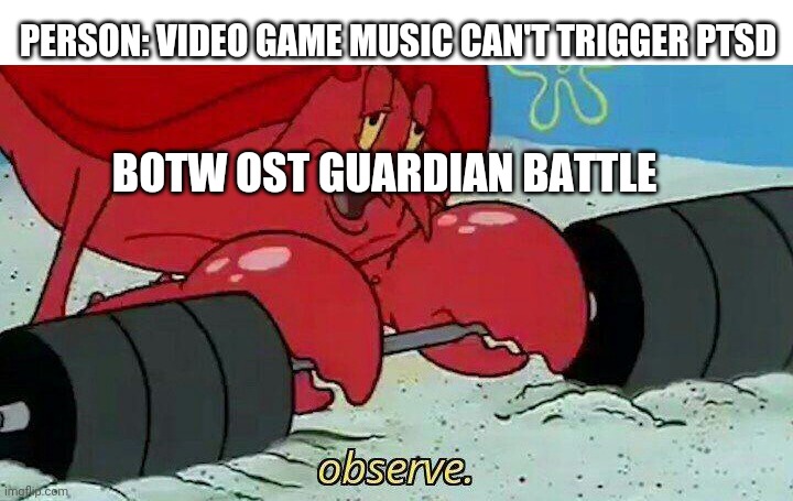Observe | PERSON: VIDEO GAME MUSIC CAN'T TRIGGER PTSD; BOTW OST GUARDIAN BATTLE | image tagged in observe,tloz,the legend  of zelda,botw,beath of the wild,zelda | made w/ Imgflip meme maker