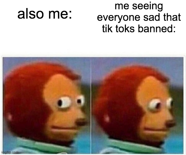 Monkey Puppet Meme | me seeing everyone sad that tik toks banned:; also me: | image tagged in memes,monkey puppet | made w/ Imgflip meme maker