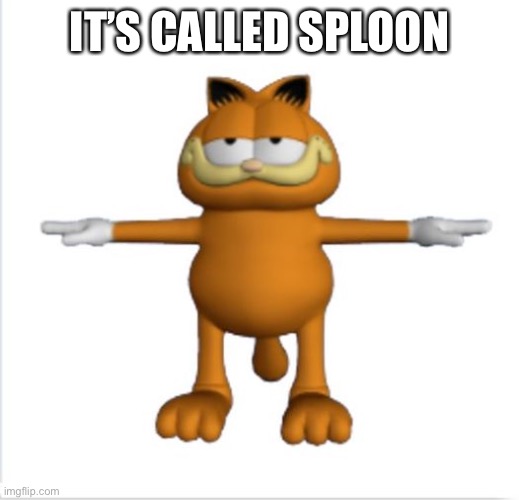 garfield t-pose | IT’S CALLED SPLOON | image tagged in garfield t-pose | made w/ Imgflip meme maker