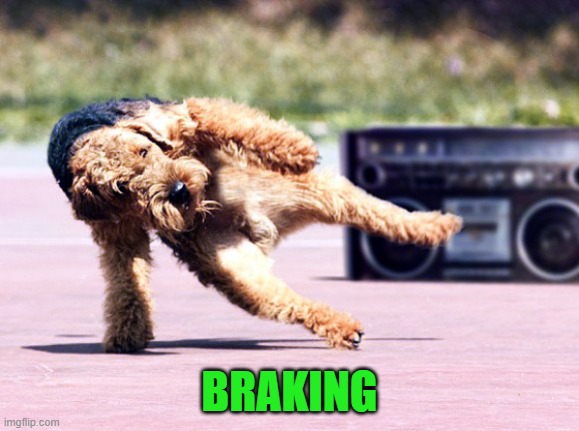 Break Dancing Dog | BRAKING | image tagged in break dancing dog | made w/ Imgflip meme maker