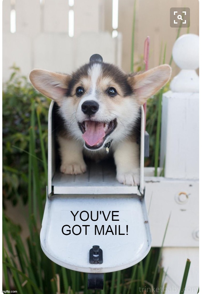 You've got mail | YOU'VE GOT MAIL! | image tagged in you've got mail | made w/ Imgflip meme maker
