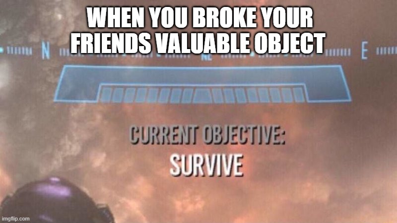 Do I even have a friend? | WHEN YOU BROKE YOUR FRIENDS VALUABLE OBJECT | image tagged in current objective survive | made w/ Imgflip meme maker