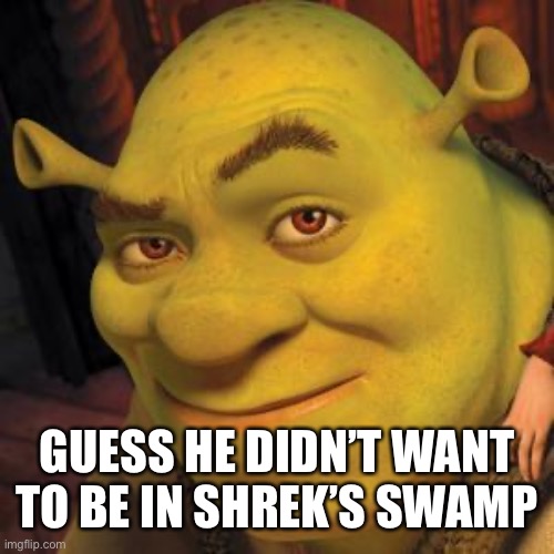 Shrek Sexy Face | GUESS HE DIDN’T WANT TO BE IN SHREK’S SWAMP | image tagged in shrek sexy face | made w/ Imgflip meme maker