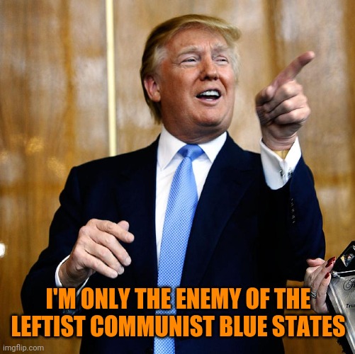 Donal Trump Birthday | I'M ONLY THE ENEMY OF THE LEFTIST COMMUNIST BLUE STATES | image tagged in donal trump birthday | made w/ Imgflip meme maker