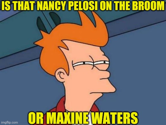 Futurama Fry Meme | IS THAT NANCY PELOSI ON THE BROOM OR MAXINE WATERS | image tagged in memes,futurama fry | made w/ Imgflip meme maker