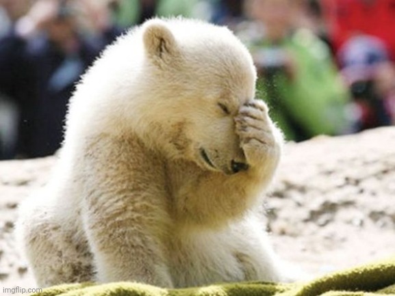 Baby Polar Bear Facepalm | image tagged in baby polar bear facepalm | made w/ Imgflip meme maker