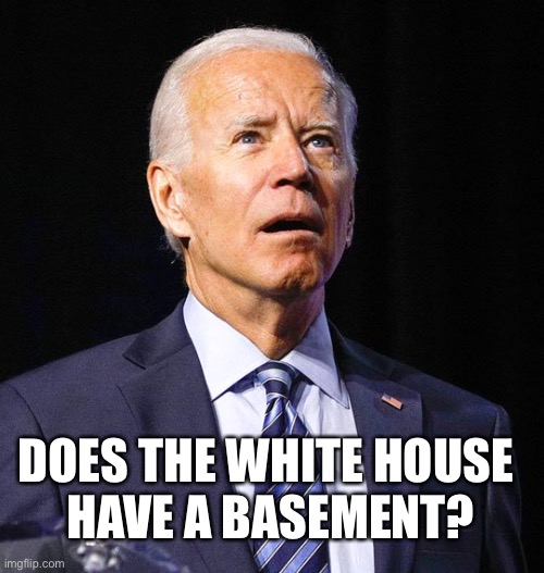Does the White House have a...you know, the thing?! | DOES THE WHITE HOUSE
 HAVE A BASEMENT? | image tagged in joe biden,basement | made w/ Imgflip meme maker