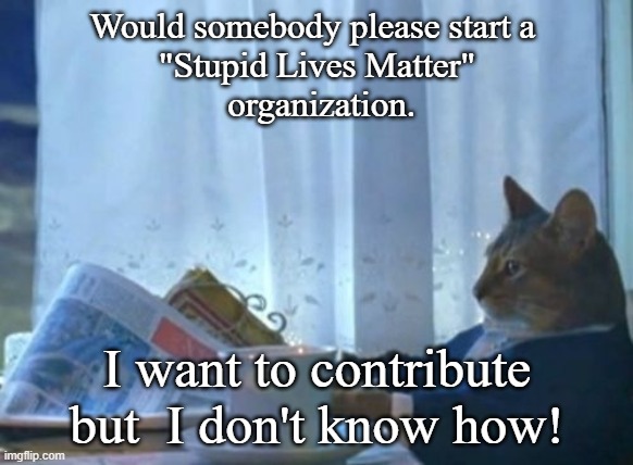 Stupid Lives Matter | Would somebody please start a 
"Stupid Lives Matter"
 organization. I want to contribute but  I don't know how! | image tagged in memes,i should buy a boat cat,stupid lives matter | made w/ Imgflip meme maker