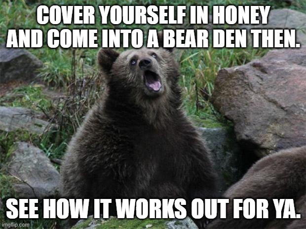 Sarcastic Bear | COVER YOURSELF IN HONEY AND COME INTO A BEAR DEN THEN. SEE HOW IT WORKS OUT FOR YA. | image tagged in sarcastic bear | made w/ Imgflip meme maker