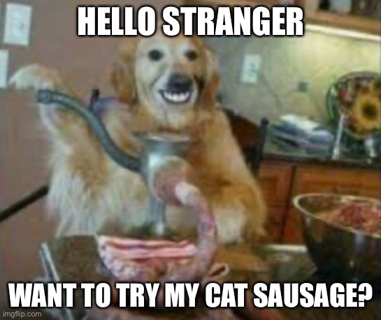 Have you seen the cat lately? | HELLO STRANGER WANT TO TRY MY CAT SAUSAGE? | image tagged in have you seen the cat lately | made w/ Imgflip meme maker