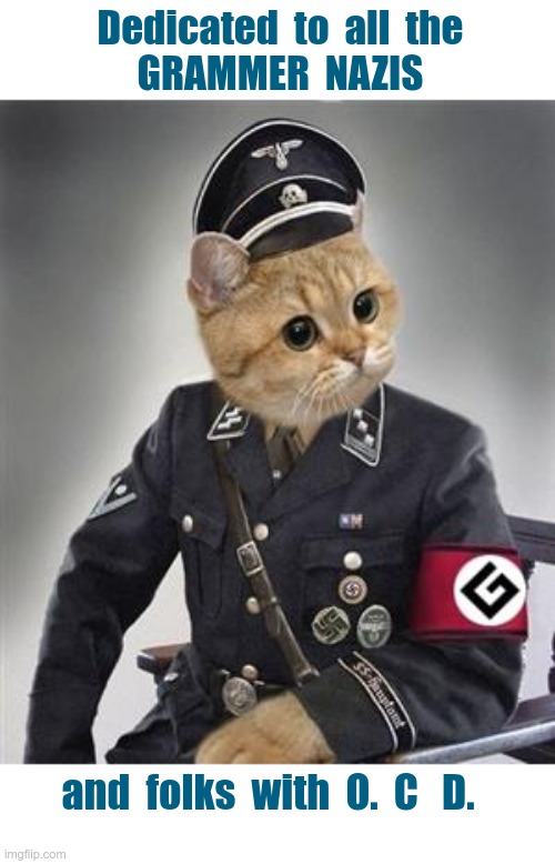 Dedicate to all the ... | Dedicated  to  all  the
GRAMMER  NAZIS; and  folks  with  O.  C   D. | image tagged in grammar nazi cat,ocd,rick75230 | made w/ Imgflip meme maker