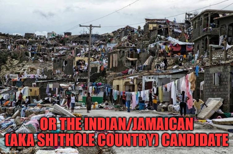 Shit hole | OR THE INDIAN/JAMAICAN (AKA SHITHOLE COUNTRY) CANDIDATE | image tagged in shit hole | made w/ Imgflip meme maker
