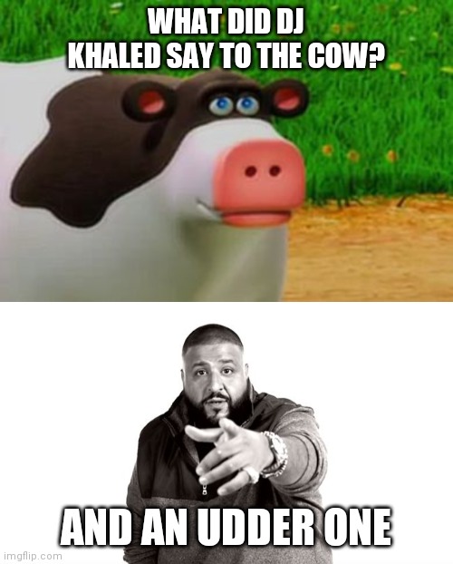 WHAT DID DJ KHALED SAY TO THE COW? AND AN UDDER ONE | image tagged in dj khaled another one,otis the perhaps cow | made w/ Imgflip meme maker