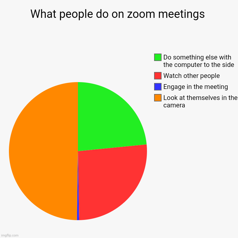 What people do on zoom meetings | Look at themselves in the camera, Engage in the meeting, Watch other people, Do something else with the co | image tagged in charts,pie charts,zoom,meeting | made w/ Imgflip chart maker