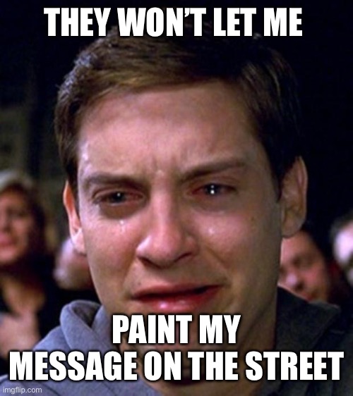 crying peter parker | THEY WON’T LET ME PAINT MY MESSAGE ON THE STREET | image tagged in crying peter parker | made w/ Imgflip meme maker