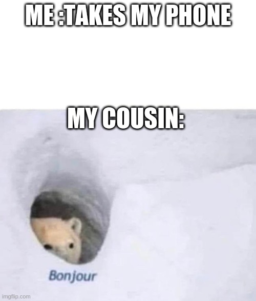 Bonjour | ME :TAKES MY PHONE; MY COUSIN: | image tagged in bonjour | made w/ Imgflip meme maker