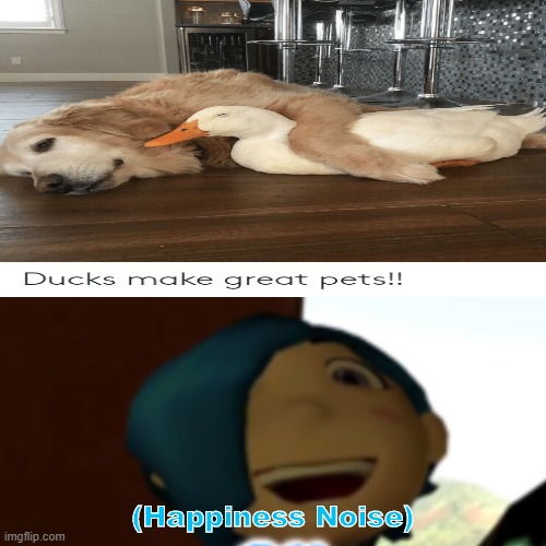 Wholesome Ducc and Puppo | (Happiness Noise) | image tagged in doggo,duck,smg4 | made w/ Imgflip meme maker