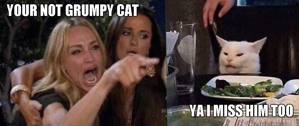 woman yelling at cat | YOUR NOT GRUMPY CAT YA I MISS HIM TOO | image tagged in woman yelling at cat | made w/ Imgflip meme maker