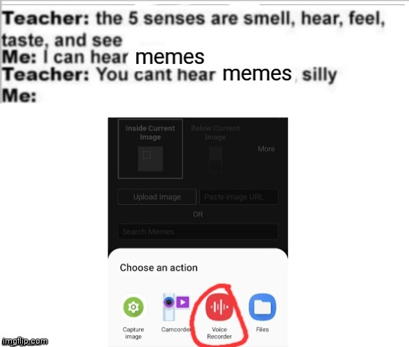 Apparently u can add audio to memes | image tagged in memes | made w/ Imgflip meme maker