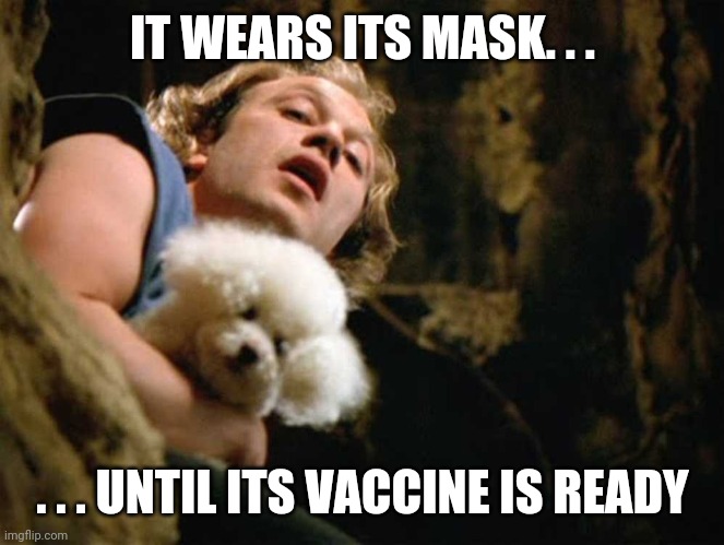 It wears its mask until its vaccine is ready | IT WEARS ITS MASK. . . . . . UNTIL ITS VACCINE IS READY | image tagged in mask,face mask,covid,bill gates,fauci,vaccine | made w/ Imgflip meme maker