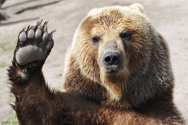 High Five Bear | image tagged in high five bear | made w/ Imgflip meme maker