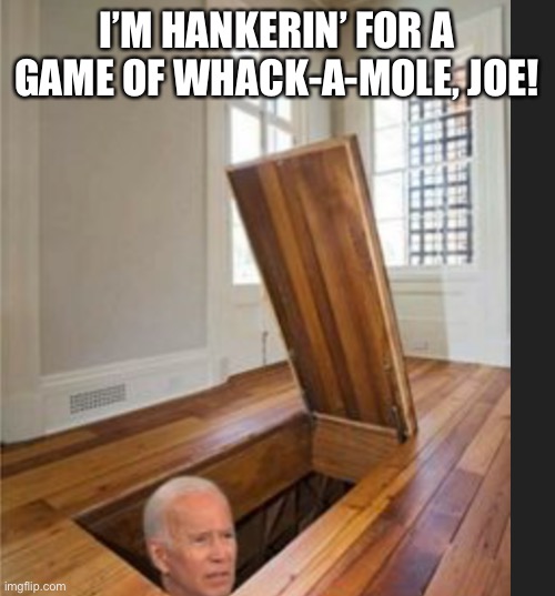 Basement Joe | I’M HANKERIN’ FOR A GAME OF WHACK-A-MOLE, JOE! | image tagged in basement joe | made w/ Imgflip meme maker