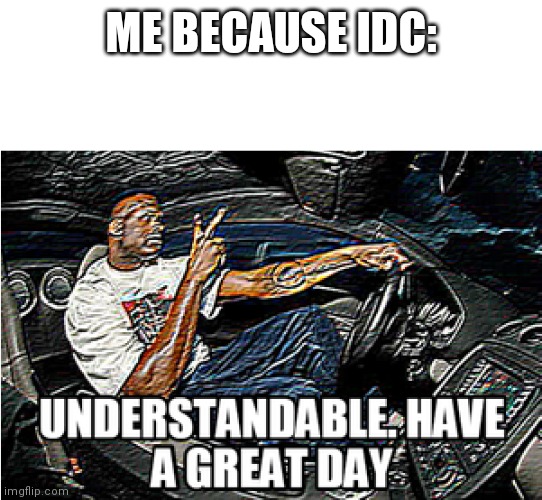 UNDERSTANDABLE, HAVE A GREAT DAY | ME BECAUSE IDC: | image tagged in understandable have a great day | made w/ Imgflip meme maker