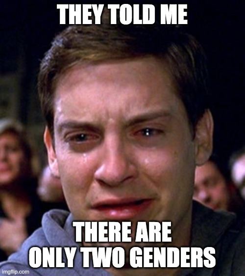 crying peter parker | THEY TOLD ME THERE ARE ONLY TWO GENDERS | image tagged in crying peter parker | made w/ Imgflip meme maker