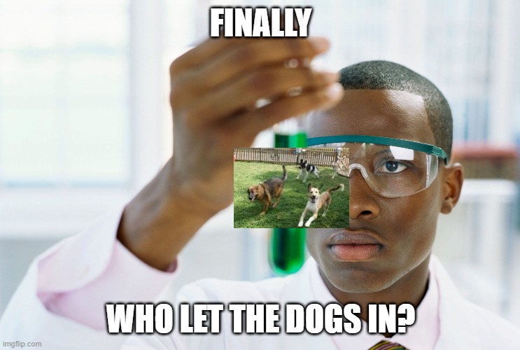 Finally | FINALLY; WHO LET THE DOGS IN? | image tagged in finally | made w/ Imgflip meme maker