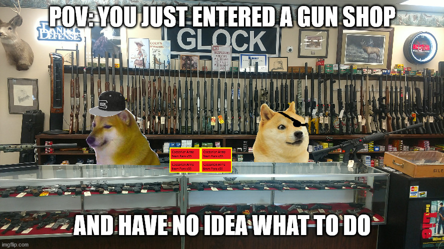 Entering a gun shop for the first time | POV: YOU JUST ENTERED A GUN SHOP; AND HAVE NO IDEA WHAT TO DO | image tagged in gun laws,doge,cheems,firearms | made w/ Imgflip meme maker